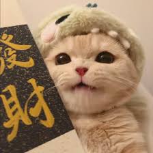 Ảnh đại diện Minh Hoàng